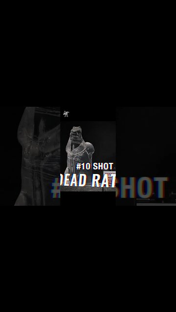 New Aguila Rata 22LR