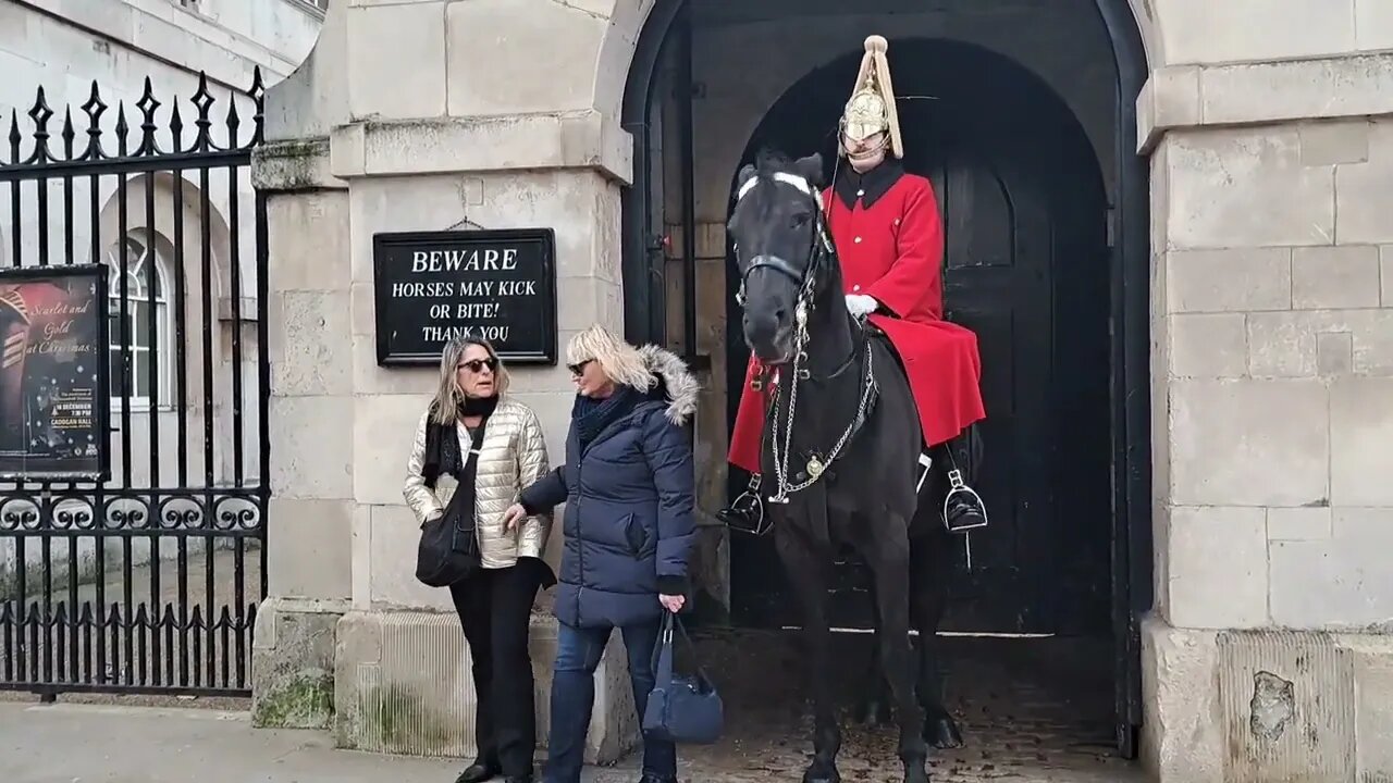 Horse gets it target horse (bites) #horseguardsparade