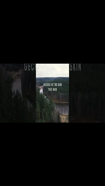 RANDOM FACTS! For The Curious Mind Vid #56 #Shorts #Facts #mindblowing #factsyouprobablydidntknow