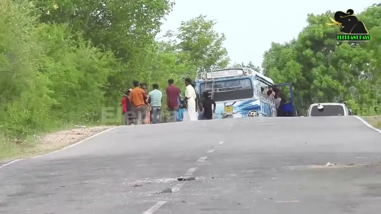 A severe elephant attack on a bus People fall down in fear 29