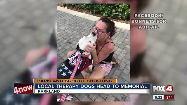 Local Therapy Dogs Go to PArkland