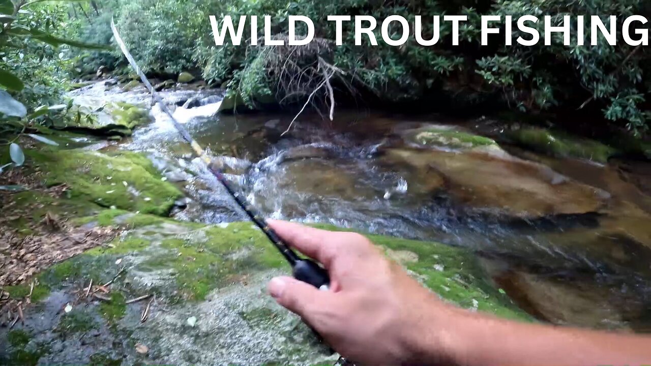 FISHING THE APPALACHIAN MOUNTAINS FOR WILD TROUT. (CAMPING)!!!!!