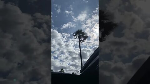 سبحان الله وبحمده سبحان الله العظيم