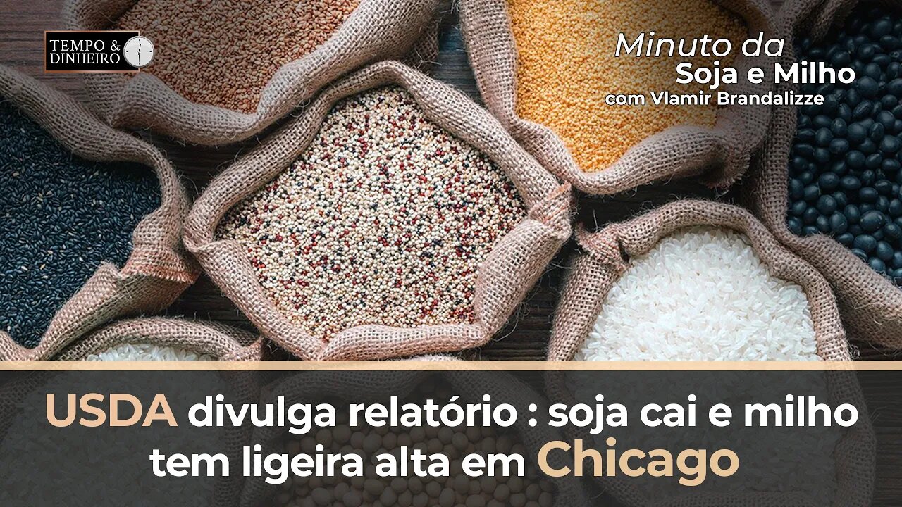 USDA divulga relatório : soja cai e milho tem ligeira alta em Chicago. Brandalize comenta