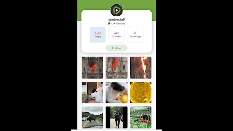 HOW RUMBLE WORKS (views in seconds)