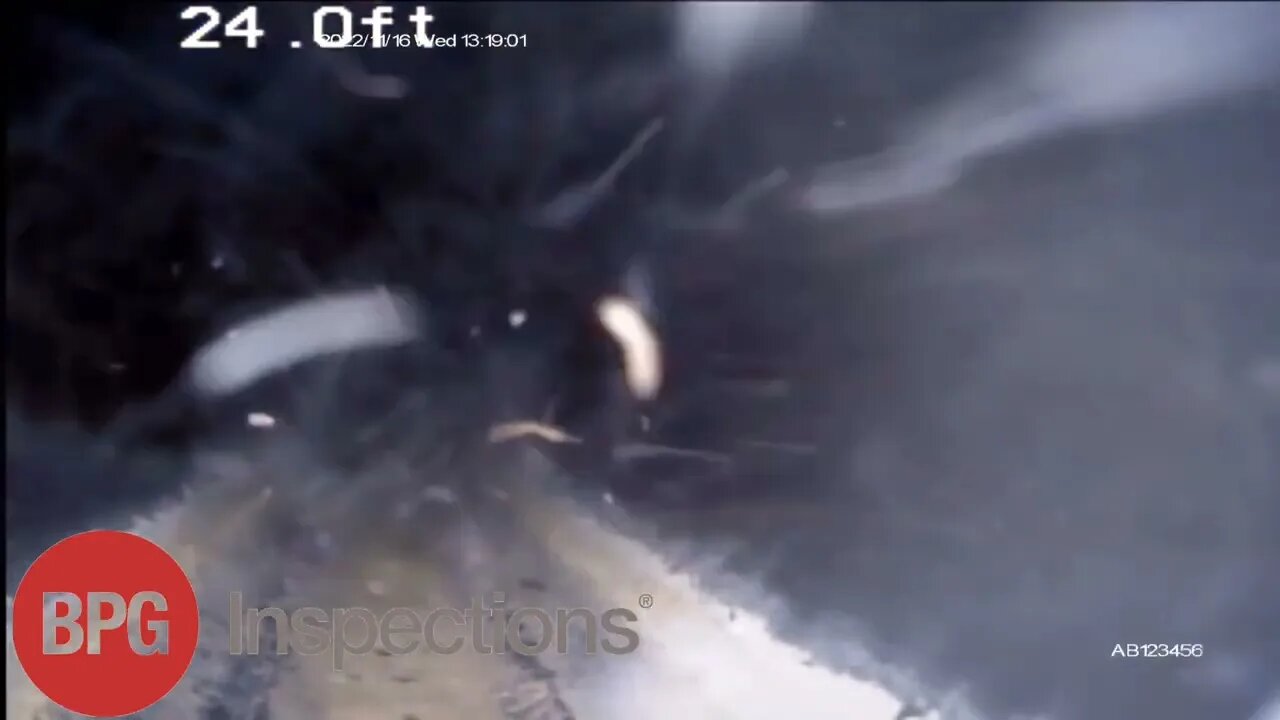 Sewer cam Scottsdale Nov. 16 2022 order 977868