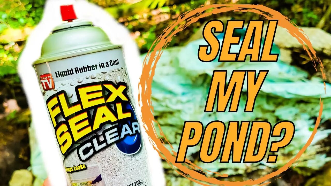 Flex Seal Fix My Pond??? #flexseal #whoteewho