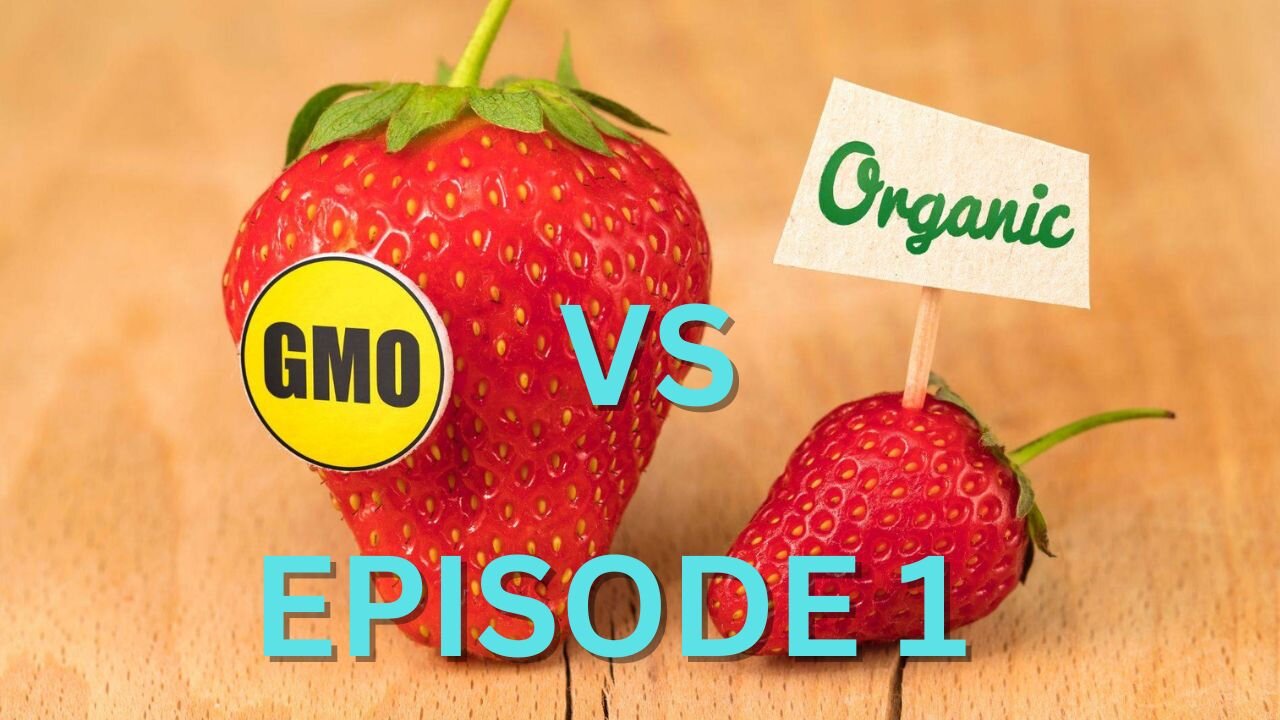 Gmos Revealed Episode 1