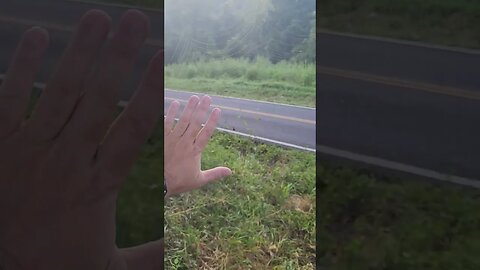 Massive Spider web from such a small spider.