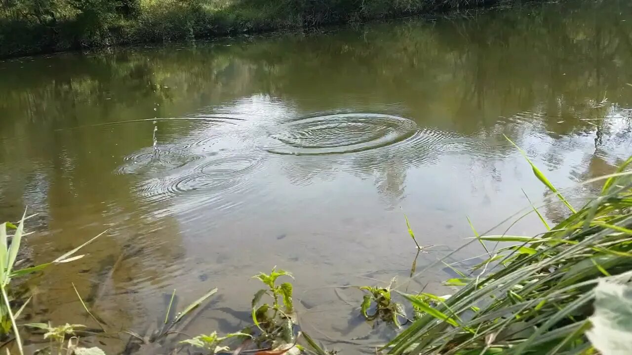 Fishing by the River ASMR, Relaxing, Nature Sounds, no talking