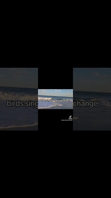 A NEW DAY!! BLESSED BE THE NAME OF THE LORD!! #blessed #newday #praisegod #jesusiscoming