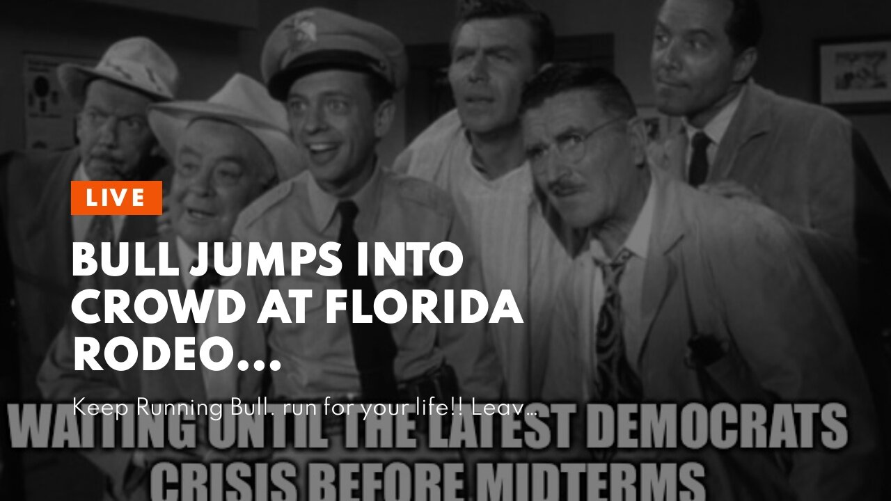 Bull jumps into crowd at Florida rodeo…