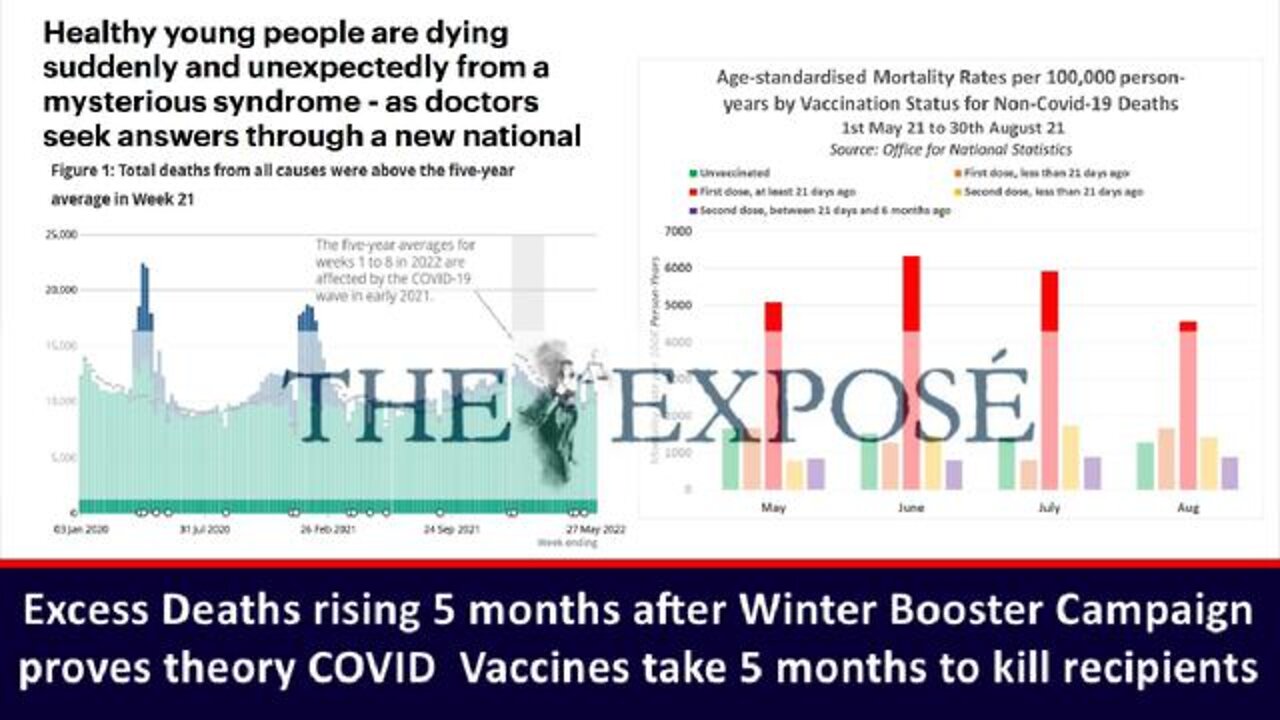EXCESS DEATHS RISING 5 MONTHS AFTER WINTER BOOSTER CAMPAIGN - TAKES 5 MONTHS TO KILL RECIPIENTS