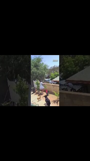 When Two Maternal Instincts Collide