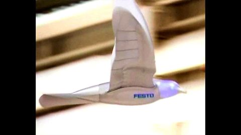 Robotic Bird Takes Flight 