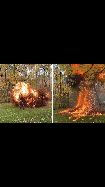 Insane slow-motion footage of leaves catching on fire
