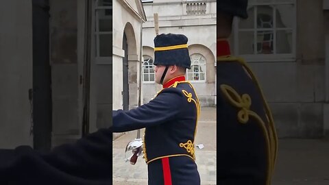 Tourist still get scared #horseguardsparade