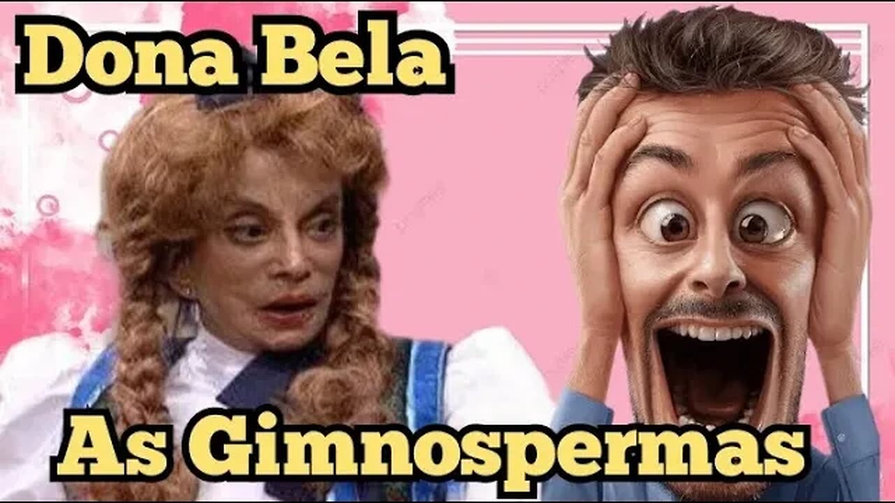 Escolinha do Professor Raimundo; Dona Bela, o que são gimnospermas!