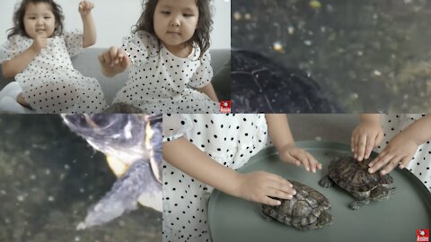 Twin children playing with cute sea turtles