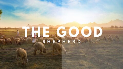 A Good Shepherd