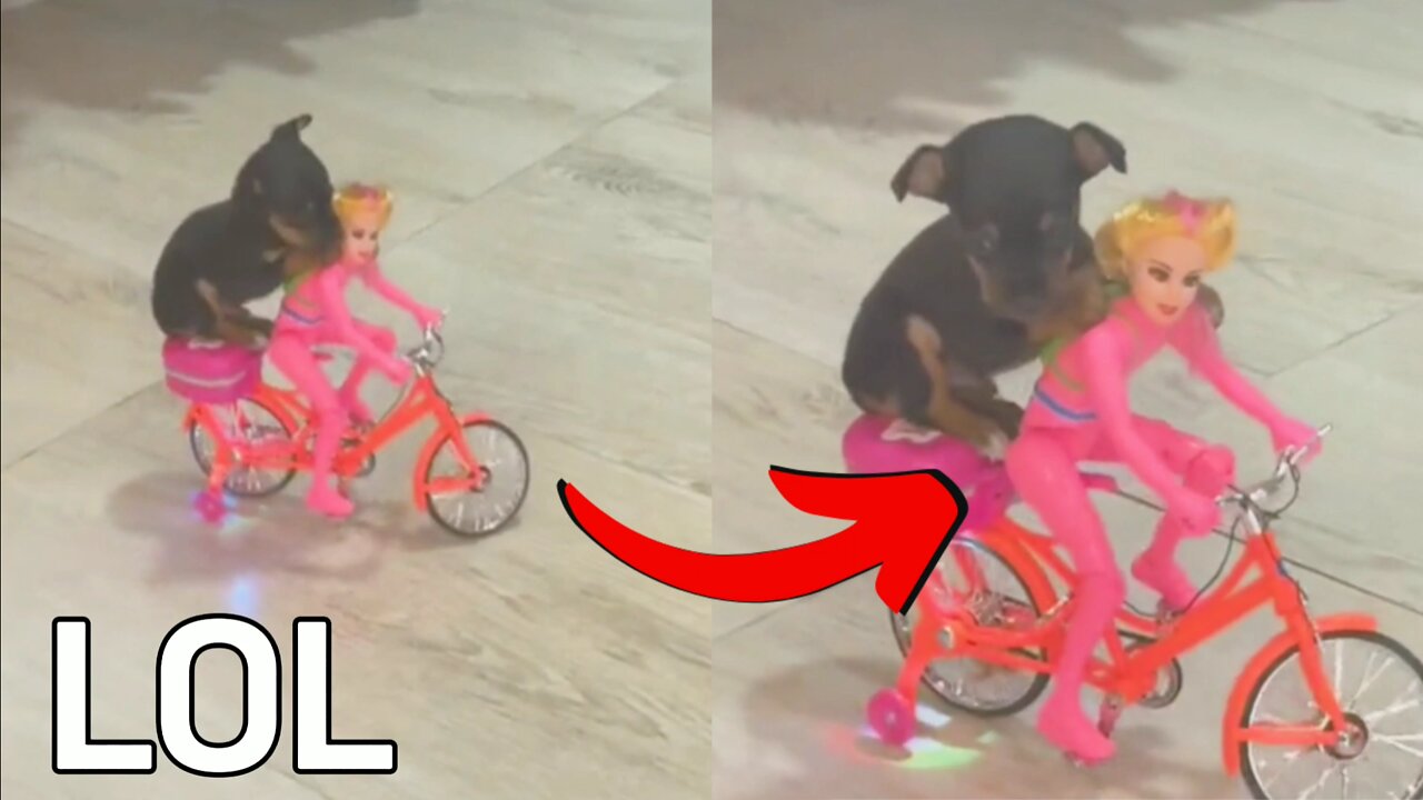 Puppy Strolling With Barbie on a Bike, to the Sound of Beautiful Music!