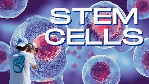 What Are Stem Cells & Why We NEED Them!