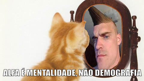 A ATITUDE é o que faz o "Alfa"