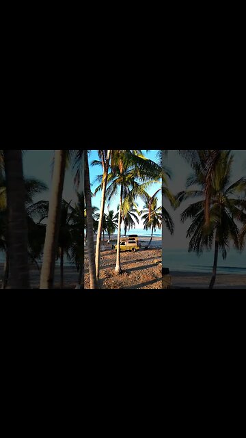 Paradise 🌴🇲🇽 #vanlife #overland #campervan #mexicotravel #mexico #shorts #overlanding