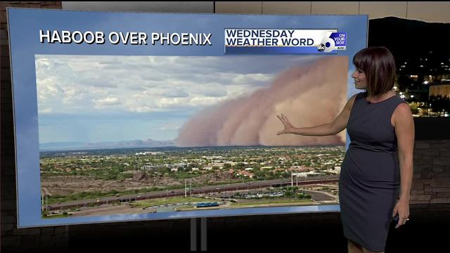 Rachel's Wednesday Wx Word: HABOOB