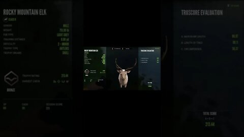 The Hunter COTW Rocky Mountain Elk 2