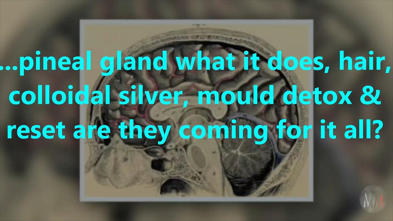 ...pineal gland what it does, hair, colloidal silver, mould detox?