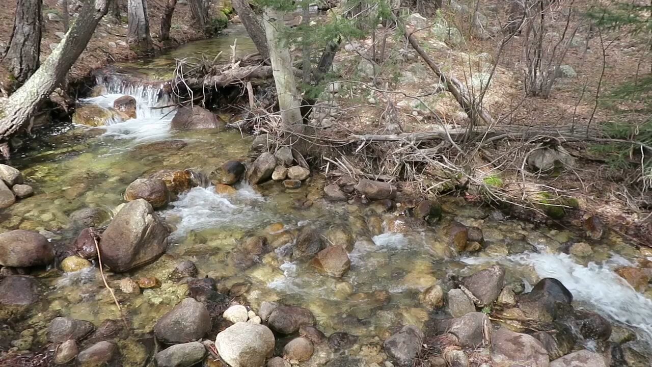 60 Seconds in Nature: Browns Creek