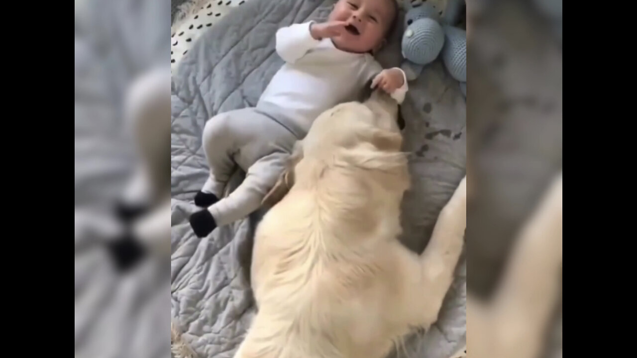 Cute baby playing with pet dog