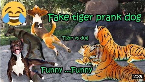 Fake Tiger Prank dog _Tiger Prank dog _Just for Laugh _funny Part 5-Kamsan&Share Full HD