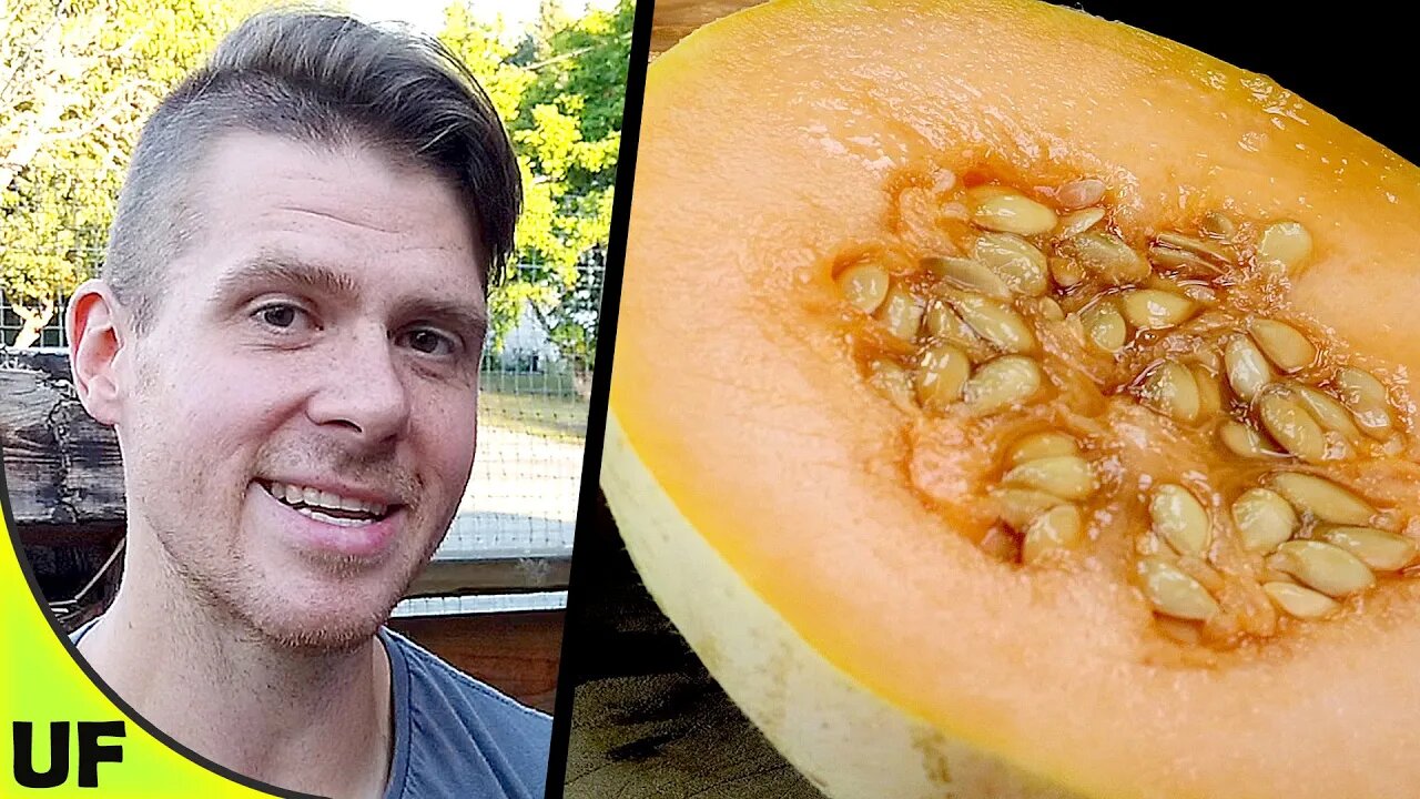 Charentais Melon Taste Test | Unusual Foods