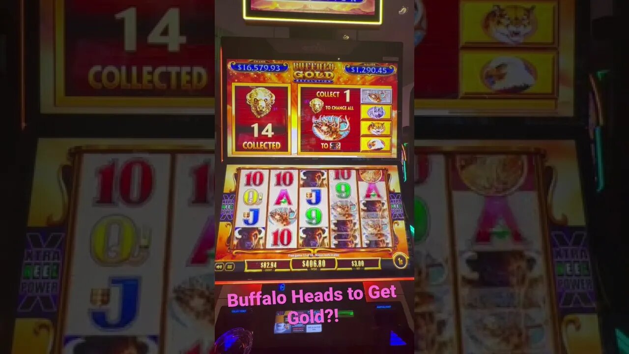 Itsy Bitsy Win On Buffalo Gold! #shorts