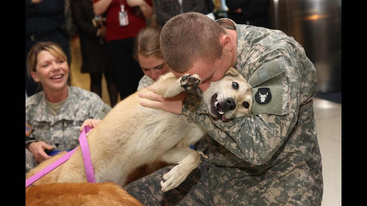 Dogs Welcoming Soldiers Home Compilation Part_1