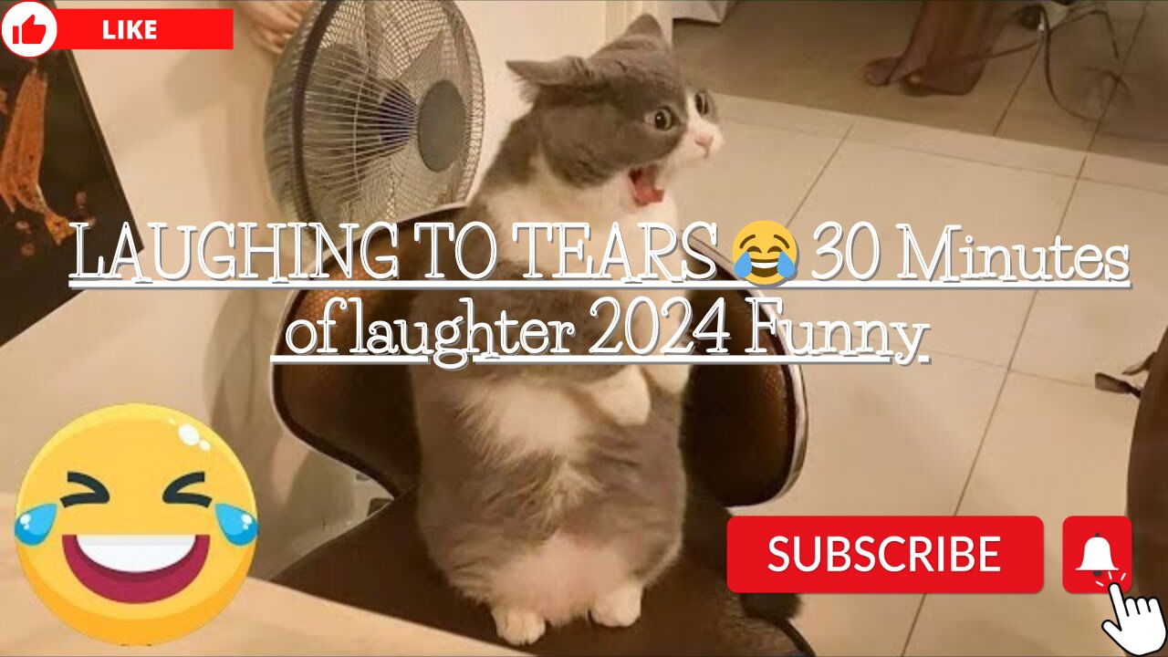 LAUGHING TO TEARS 😂 30 Minutes of laughter 2024 Funny