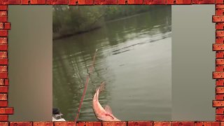 Cute, WIn, or Fail? | Funny Fishing
