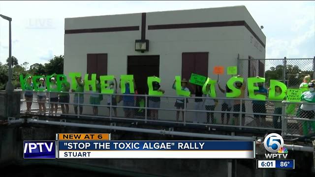 "Stop the Toxic Algae" rally held in Stuart