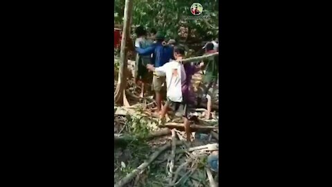 Tertimpa teman sendiri, Vodeo lucu