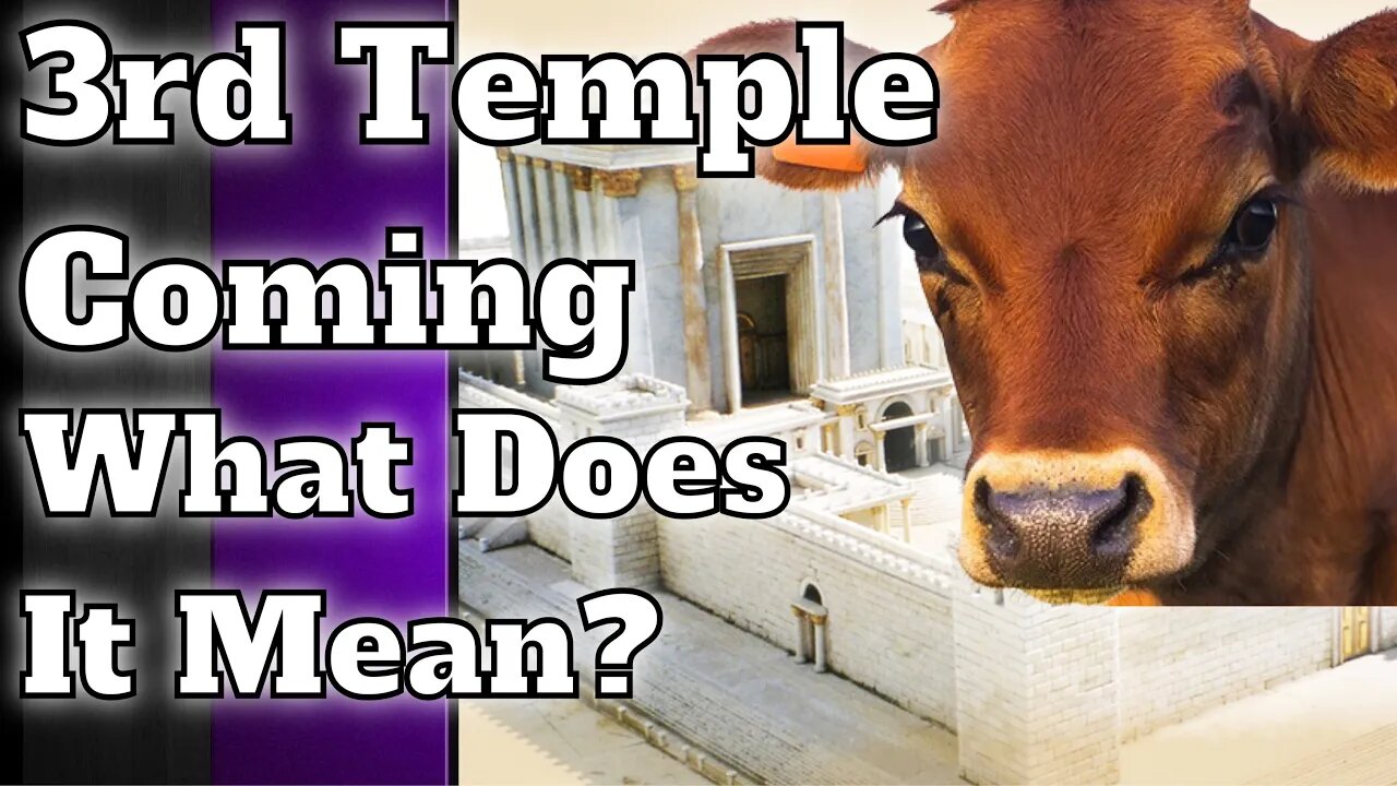 3rd Temple Coming | Red Heifers Ready