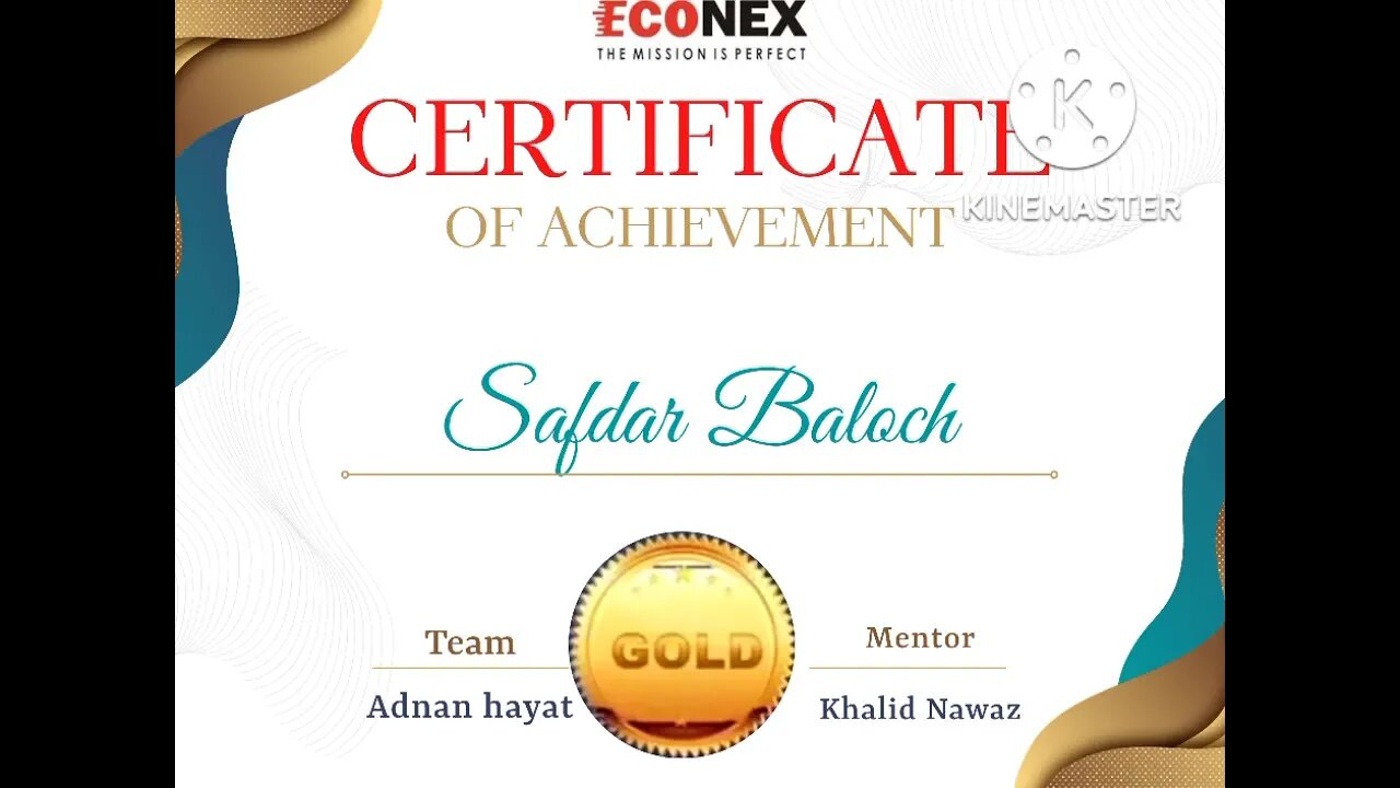 Econex-certificate of achievement-team leader -earning money online