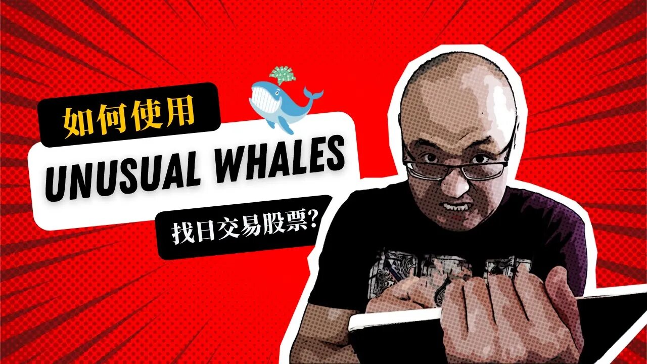 🔭如何使用Unusual Whales找到日交易股票 | unusual whales扫描期权大单| Unusual Whales使用心得