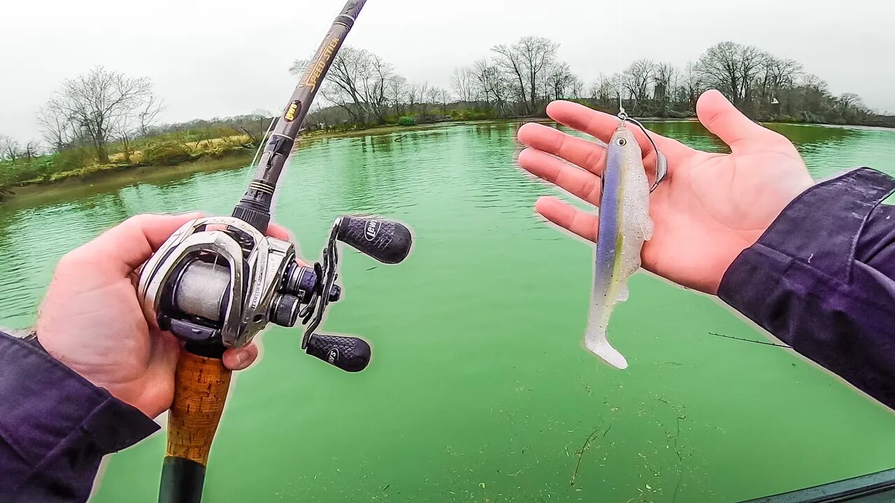 Catching a MEGA Bag of Bass with Swimbaits!