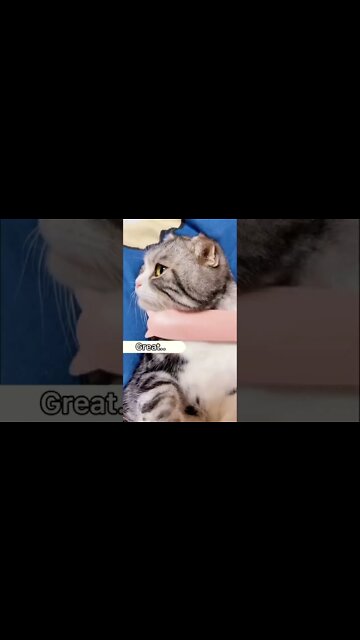 Protect your Energy!! Clean your Energy with this Magic Sage Brush it will immediately.....#short