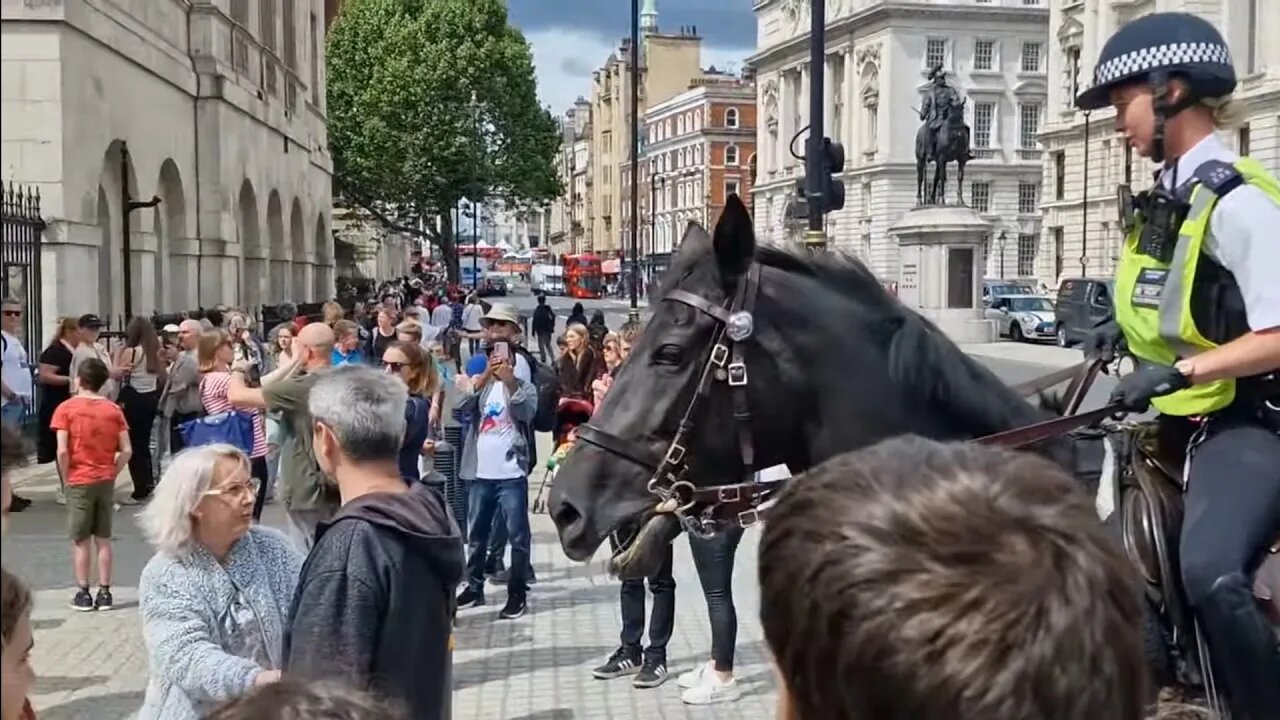 Hello move there is a police horse behind you #horseguardsparade