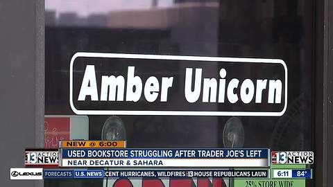 Amber Unicorn starts Christmas sale early