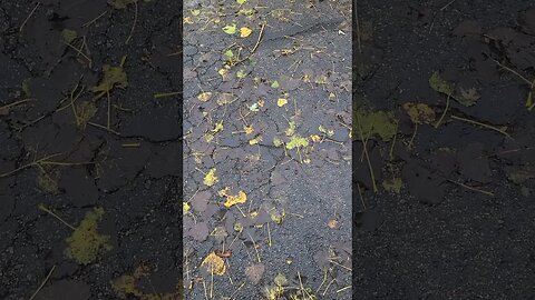 weather be lying #shorts