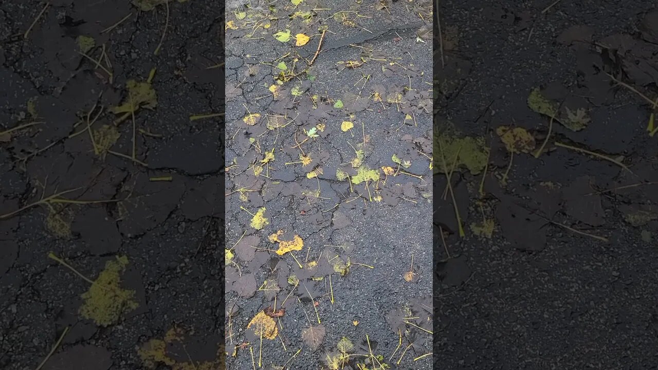 weather be lying #shorts